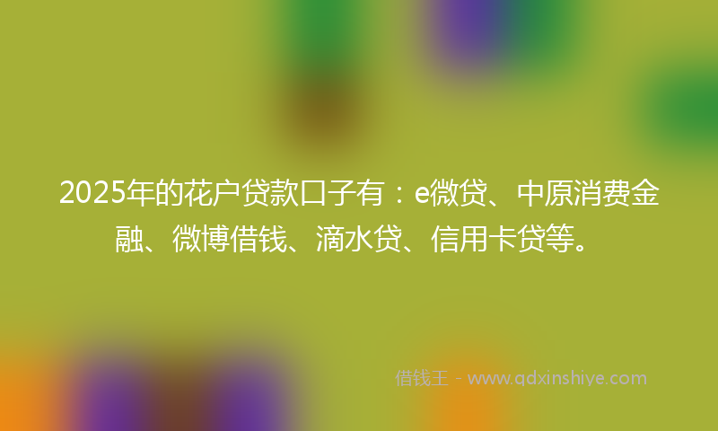 2025年的花户贷款口子有：e微贷、中原消费金融、微博借钱、滴水贷、信用卡贷等。