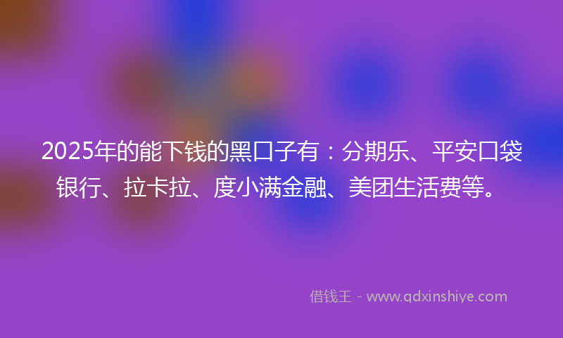 2025年的能下钱的黑口子有：分期乐、平安口袋银行、拉卡拉、度小满金融、美团生活费等。