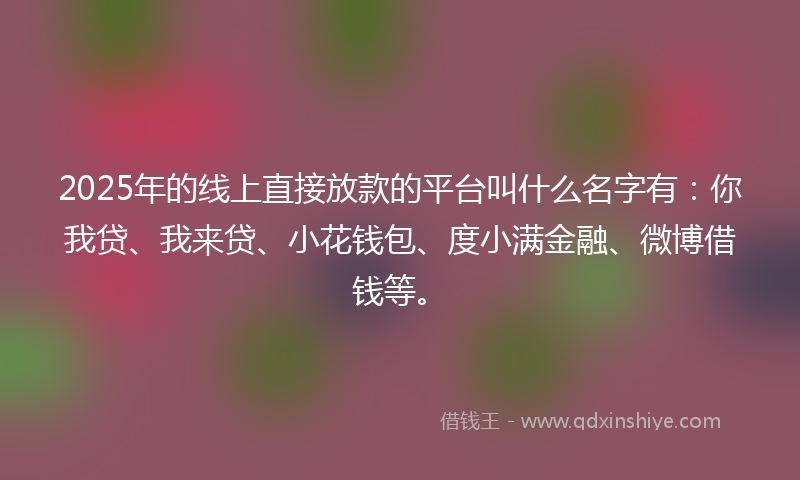 2025年的线上直接放款的平台叫什么名字有：你我贷、我来贷、小花钱包、度小满金融、微博借钱等。
