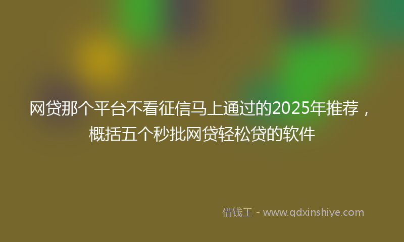 网贷那个平台不看征信马上通过的2025年推荐，概括五个秒批网贷轻松贷的软件