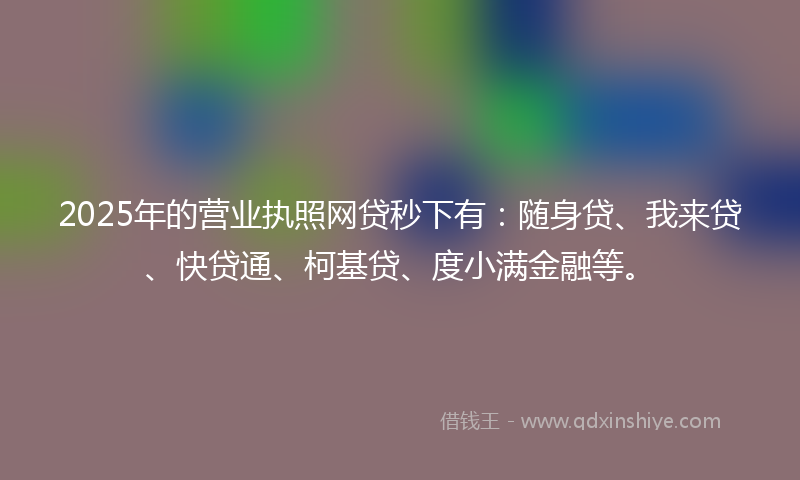 2025年的营业执照网贷秒下有：随身贷、我来贷、快贷通、柯基贷、度小满金融等。