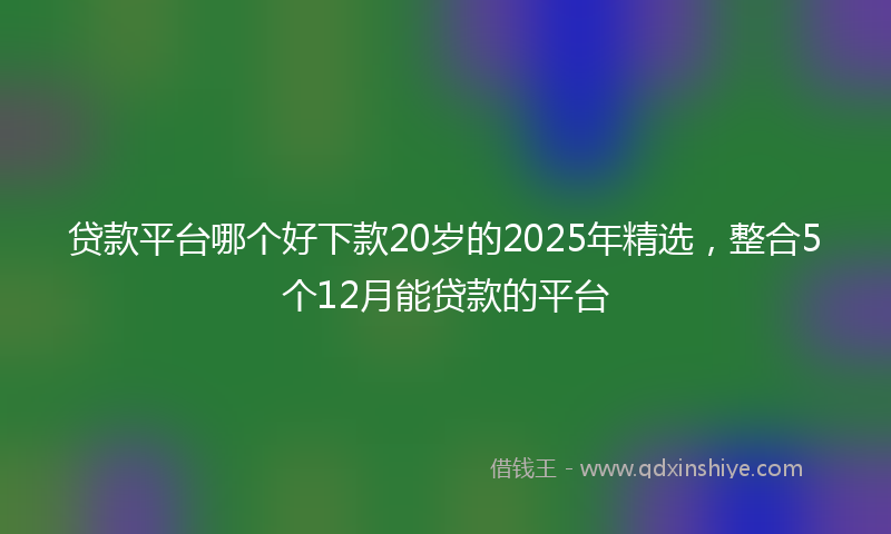 贷款平台哪个好下款20岁的2025年精选，整合5个12月能贷款的平台
