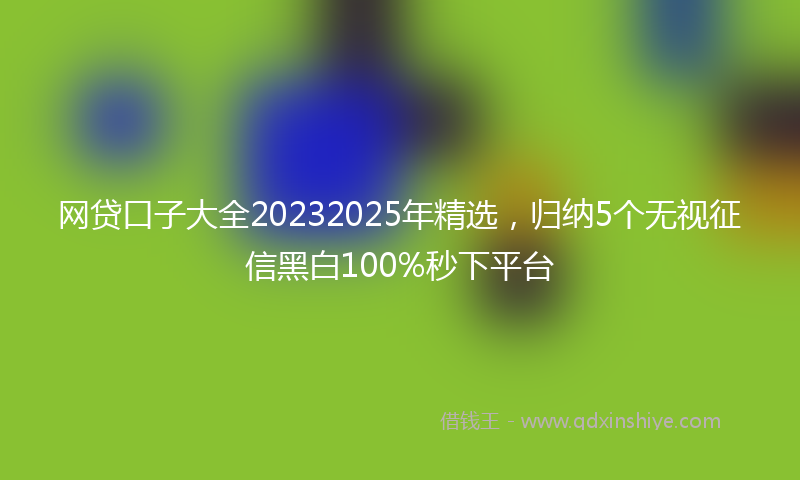 网贷口子大全20232025年精选，归纳5个无视征信黑白100%秒下平台
