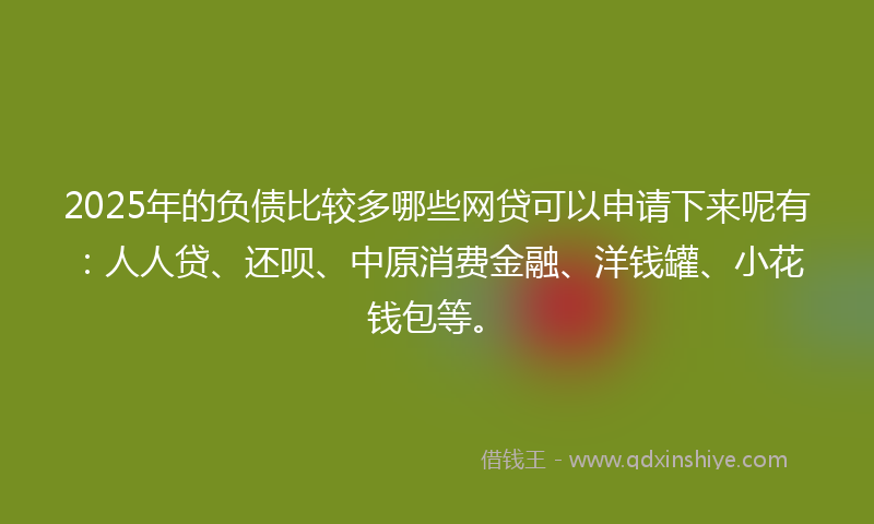 2025年的负债比较多哪些网贷可以申请下来呢有：人人贷、还呗、中原消费金融、洋钱罐、小花钱包等。