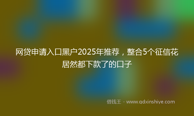 网贷申请入口黑户2025年推荐，整合5个征信花居然都下款了的口子