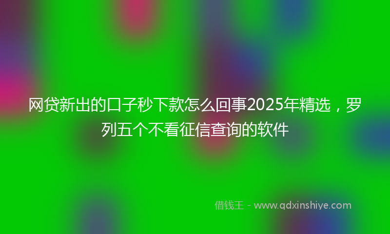 网贷新出的口子秒下款怎么回事2025年精选，罗列五个不看征信查询的软件