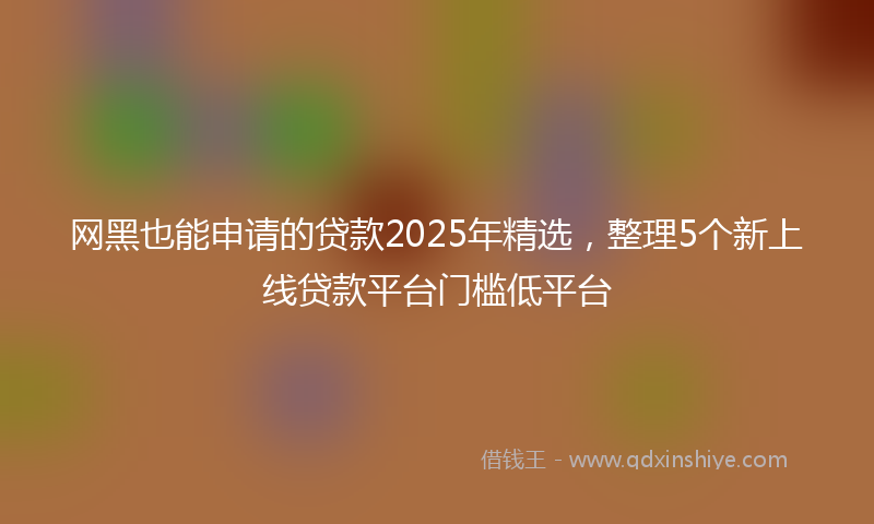 网黑也能申请的贷款2025年精选，整理5个新上线贷款平台门槛低平台