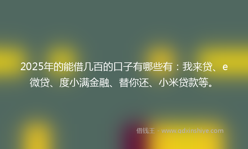 2025年的能借几百的口子有哪些有：我来贷、e微贷、度小满金融、替你还、小米贷款等。