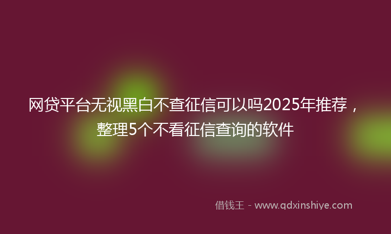 网贷平台无视黑白不查征信可以吗2025年推荐，整理5个不看征信查询的软件