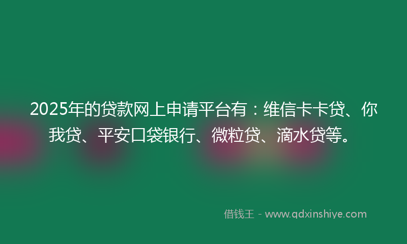 2025年的贷款网上申请平台有：维信卡卡贷、你我贷、平安口袋银行、微粒贷、滴水贷等。