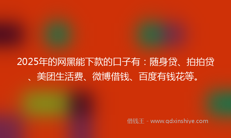 2025年的网黑能下款的口子有：随身贷、拍拍贷、美团生活费、微博借钱、百度有钱花等。