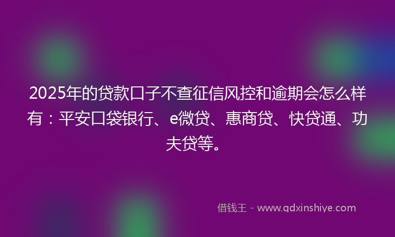 2025年的贷款口子不查征信风控和逾期会怎么样有：平安口袋银行、e微贷、惠商贷、快贷通、功夫贷等。