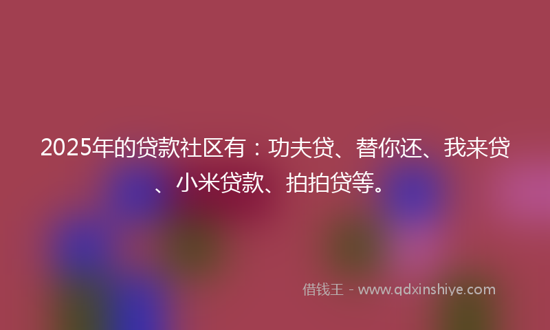 2025年的贷款社区有：功夫贷、替你还、我来贷、小米贷款、拍拍贷等。