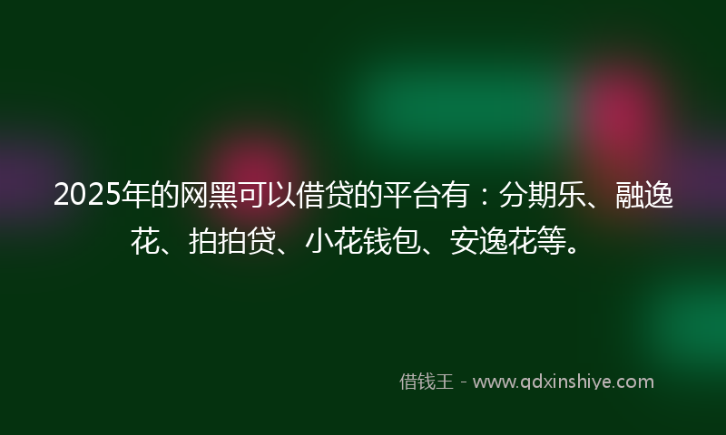 2025年的网黑可以借贷的平台有：分期乐、融逸花、拍拍贷、小花钱包、安逸花等。