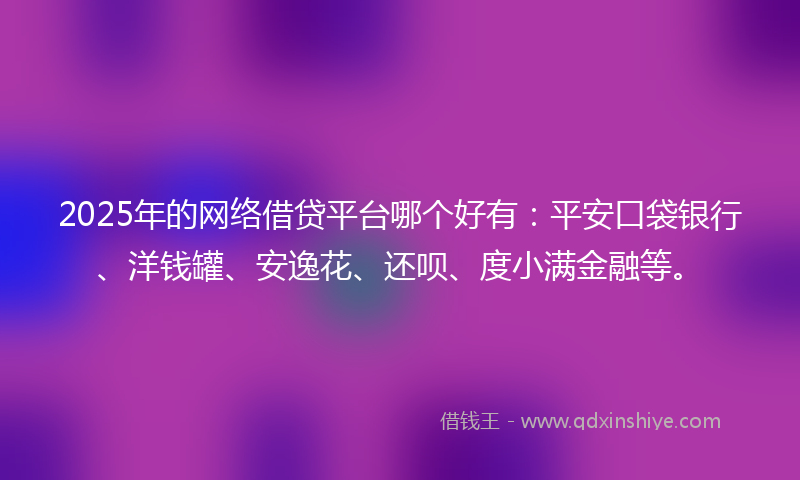 2025年的网络借贷平台哪个好有：平安口袋银行、洋钱罐、安逸花、还呗、度小满金融等。