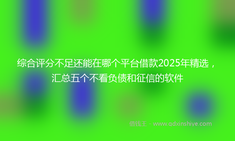 综合评分不足还能在哪个平台借款2025年精选，汇总五个不看负债和征信的软件