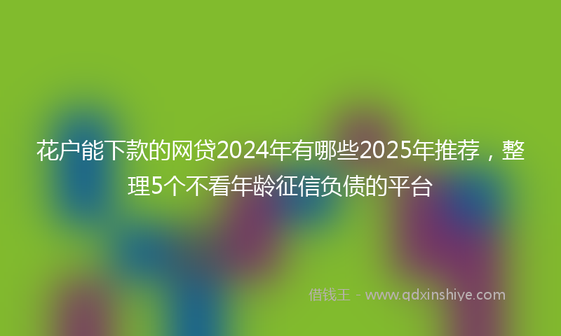花户能下款的网贷2024年有哪些2025年推荐，整理5个不看年龄征信负债的平台