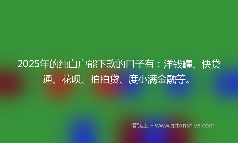 2025年的纯白户能下款的口子有：洋钱罐、快贷通、花呗、拍拍贷、度小满金融等。