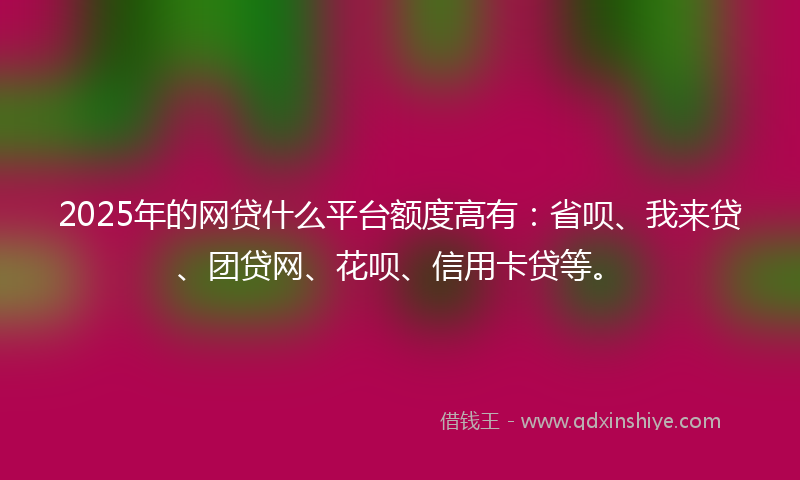 2025年的网贷什么平台额度高有：省呗、我来贷、团贷网、花呗、信用卡贷等。