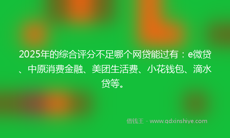 2025年的综合评分不足哪个网贷能过有：e微贷、中原消费金融、美团生活费、小花钱包、滴水贷等。