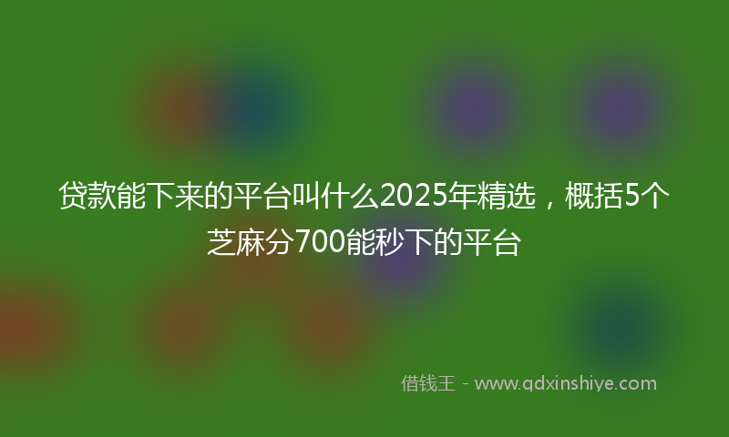 贷款能下来的平台叫什么2025年精选，概括5个芝麻分700能秒下的平台