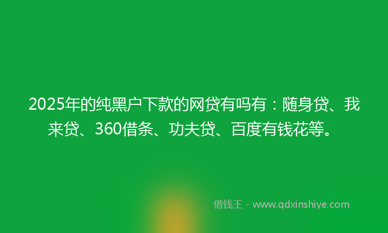 2025年的纯黑户下款的网贷有吗有：随身贷、我来贷、360借条、功夫贷、百度有钱花等。
