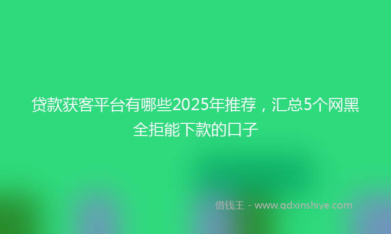 贷款获客平台有哪些2025年推荐，汇总5个网黑全拒能下款的口子