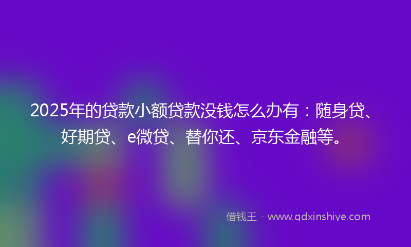 2025年的贷款小额贷款没钱怎么办有：随身贷、好期贷、e微贷、替你还、京东金融等。