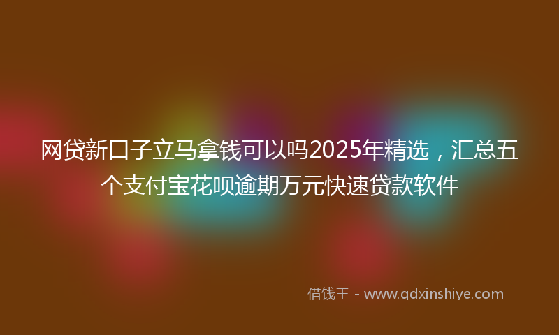 网贷新口子立马拿钱可以吗2025年精选，汇总五个支付宝花呗逾期万元快速贷款软件