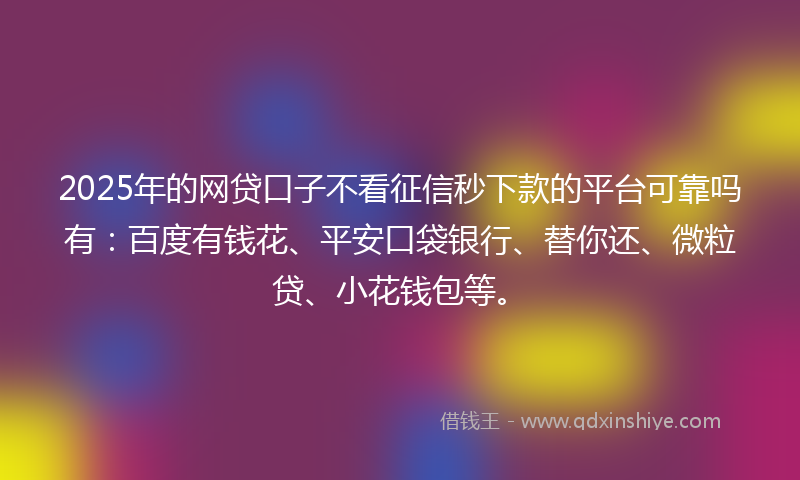 2025年的网贷口子不看征信秒下款的平台可靠吗有：百度有钱花、平安口袋银行、替你还、微粒贷、小花钱包等。