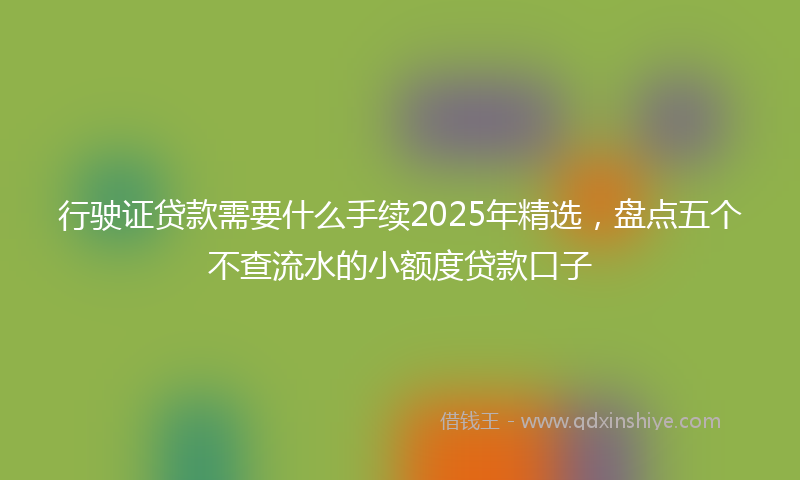 行驶证贷款需要什么手续2025年精选，盘点五个不查流水的小额度贷款口子