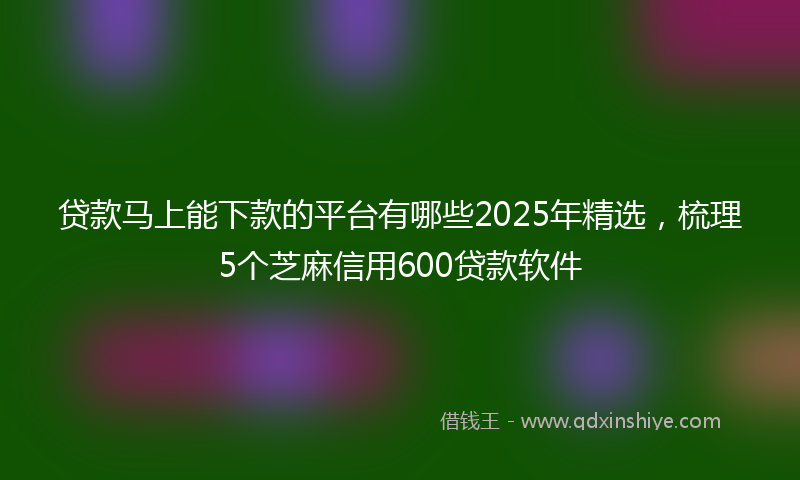 贷款马上能下款的平台有哪些2025年精选，梳理5个芝麻信用600贷款软件