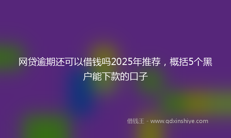 网贷逾期还可以借钱吗2025年推荐，概括5个黑户能下款的口子