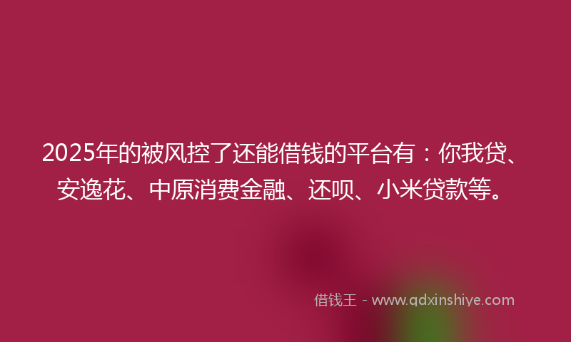 2025年的被风控了还能借钱的平台有：你我贷、安逸花、中原消费金融、还呗、小米贷款等。