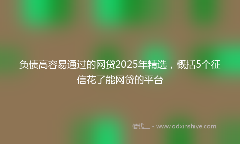 负债高容易通过的网贷2025年精选，概括5个征信花了能网贷的平台
