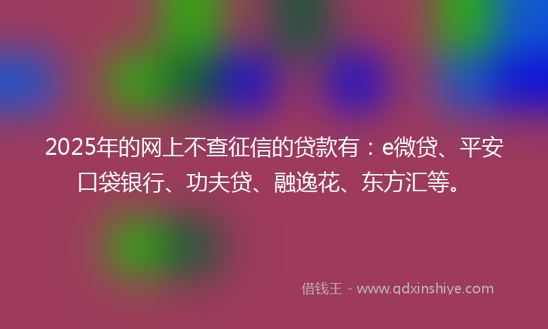 2025年的网上不查征信的贷款有：e微贷、平安口袋银行、功夫贷、融逸花、东方汇等。