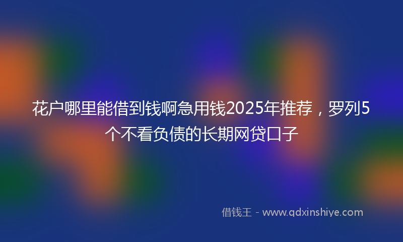 花户哪里能借到钱啊急用钱2025年推荐，罗列5个不看负债的长期网贷口子