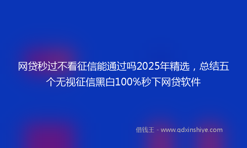 网贷秒过不看征信能通过吗2025年精选，总结五个无视征信黑白100%秒下网贷软件