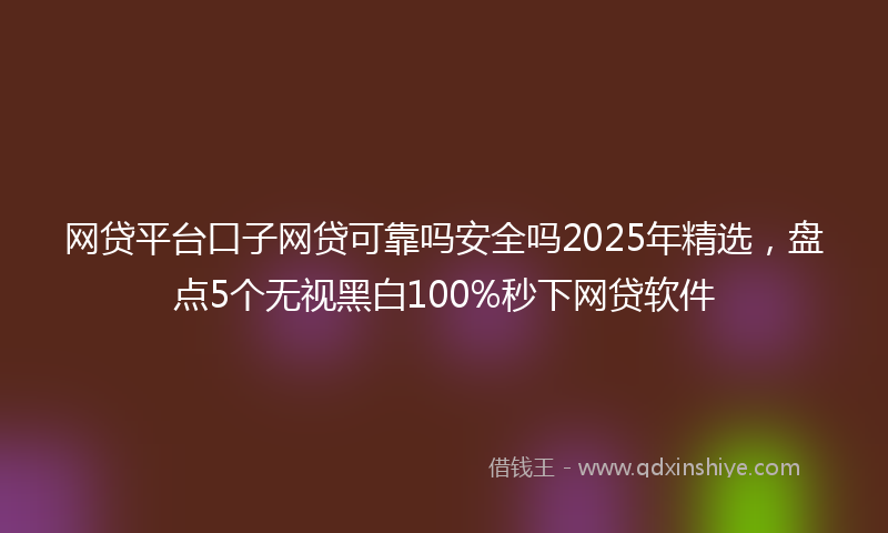 网贷平台口子网贷可靠吗安全吗2025年精选，盘点5个无视黑白100%秒下网贷软件