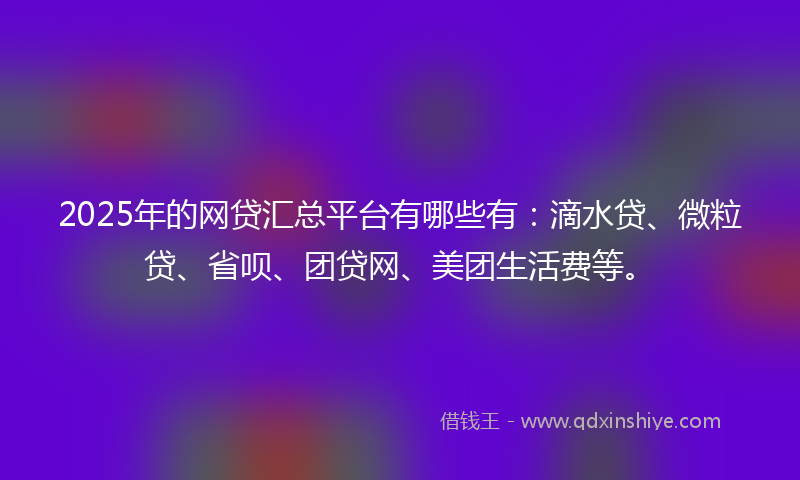 2025年的网贷汇总平台有哪些有：滴水贷、微粒贷、省呗、团贷网、美团生活费等。