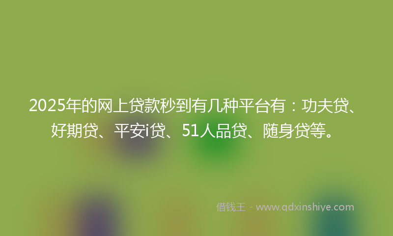 2025年的网上贷款秒到有几种平台有：功夫贷、好期贷、平安i贷、51人品贷、随身贷等。