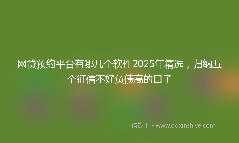 网贷预约平台有哪几个软件2025年精选，归纳五个征信不好负债高的口子
