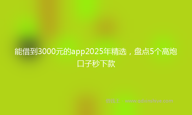 能借到3000元的app2025年精选，盘点5个高炮口子秒下款