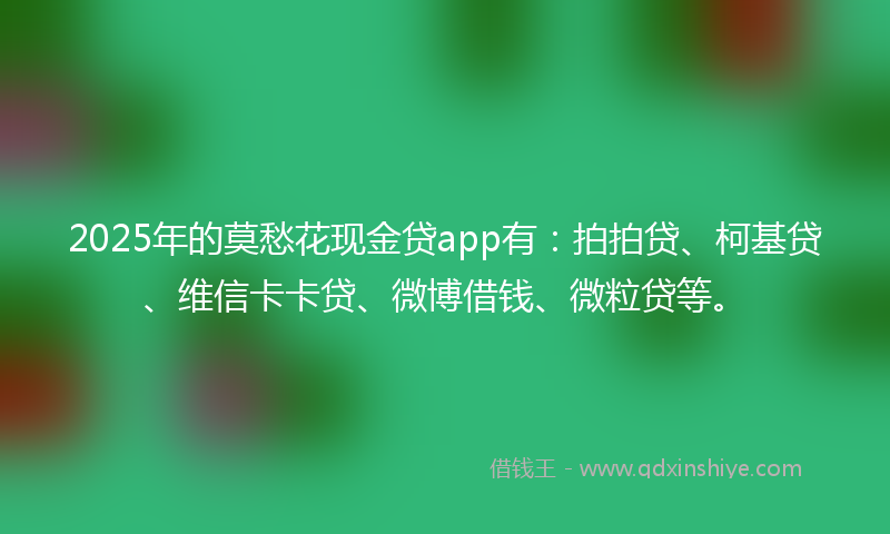 2025年的莫愁花现金贷app有：拍拍贷、柯基贷、维信卡卡贷、微博借钱、微粒贷等。