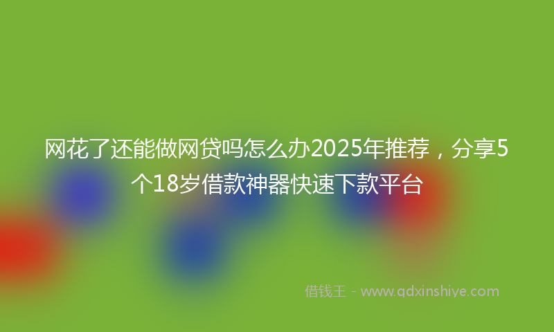 网花了还能做网贷吗怎么办2025年推荐，分享5个18岁借款神器快速下款平台