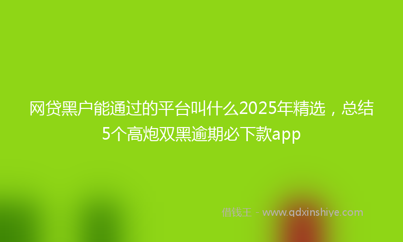 网贷黑户能通过的平台叫什么2025年精选，总结5个高炮双黑逾期必下款app