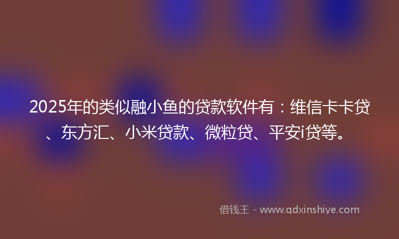 2025年的类似融小鱼的贷款软件有：维信卡卡贷、东方汇、小米贷款、微粒贷、平安i贷等。