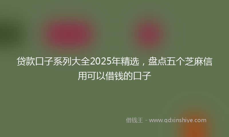 贷款口子系列大全2025年精选，盘点五个芝麻信用可以借钱的口子