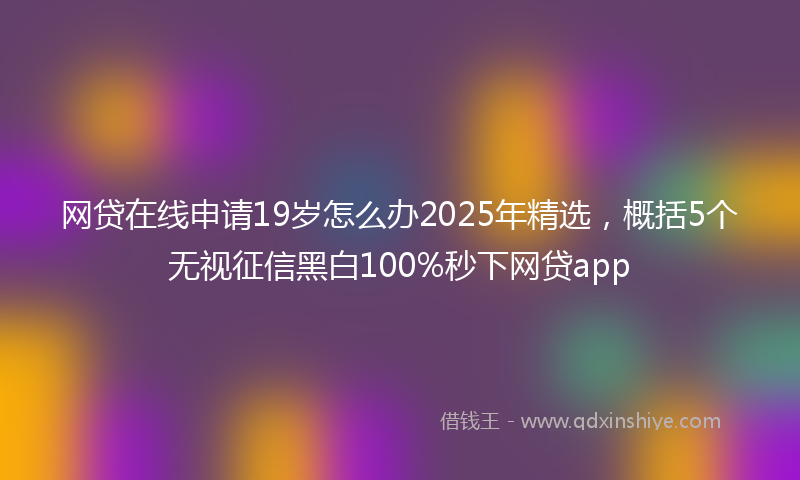 网贷在线申请19岁怎么办2025年精选，概括5个无视征信黑白100%秒下网贷app