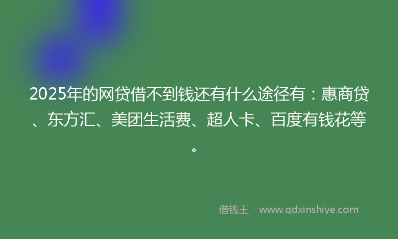 2025年的网贷借不到钱还有什么途径有：惠商贷、东方汇、美团生活费、超人卡、百度有钱花等。